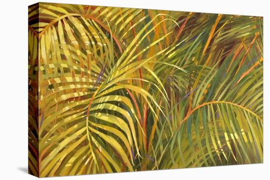 Tropical Light-Darrell Hill-Premier Image Canvas