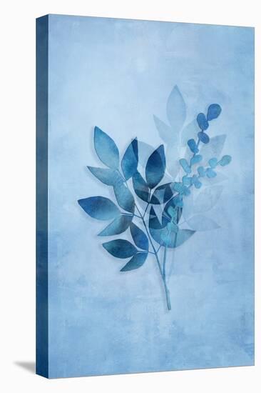 Tropical Night in Blue I-Andrea Haase-Stretched Canvas