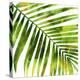 Tropical Palm I-Melonie Miller-Stretched Canvas