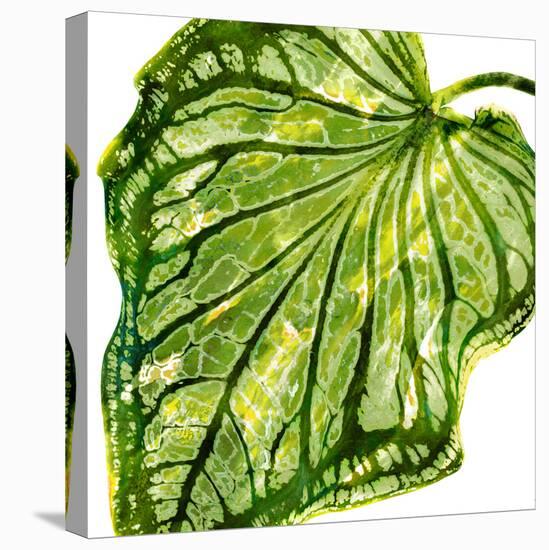 Tropical Palm III-Melonie Miller-Stretched Canvas