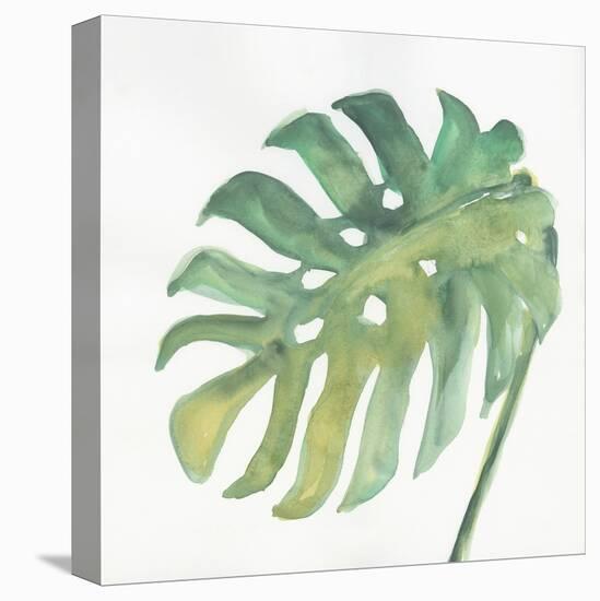 Tropical Palm IV-Chris Paschke-Stretched Canvas