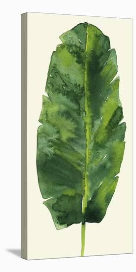 Tropical Palm Leaf III-Kim Johnson-Stretched Canvas