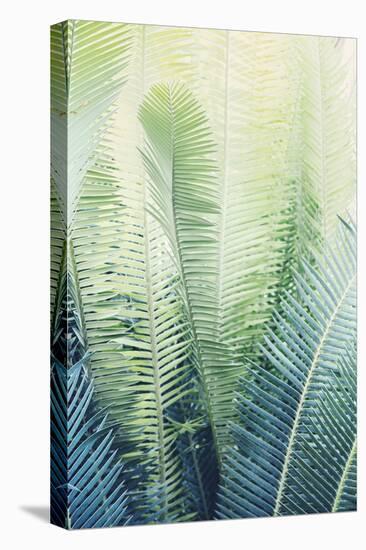 Tropical Park-Irene Suchocki-Stretched Canvas