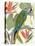 Tropical Parrot Composition I-Annie Warren-Stretched Canvas