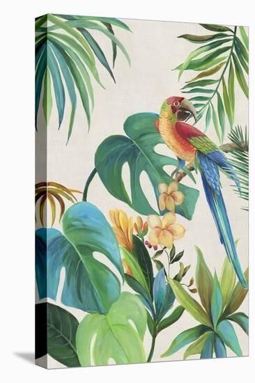 Tropical Parrot II-Aimee Wilson-Stretched Canvas