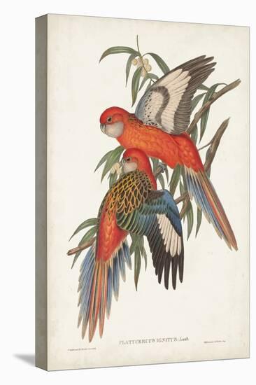 Tropical Parrots I-John Gould-Stretched Canvas
