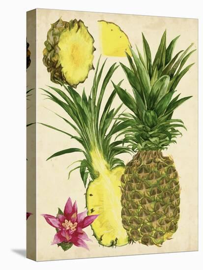 Tropical Pineapple Study II-Melissa Wang-Stretched Canvas