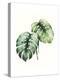 Tropical Plant I-Grace Popp-Stretched Canvas