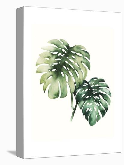 Tropical Plant II-Grace Popp-Stretched Canvas