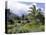 Tropical Plantation Garden, Maui, Hawaii, Hawaiian Islands, USA-Ken Gillham-Premier Image Canvas