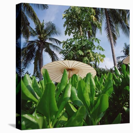 Tropical Plants and Traditional Parasols-null-Premier Image Canvas