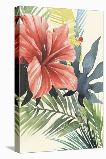 Tropical Punch II-Grace Popp-Stretched Canvas