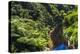 Tropical Rainforest Scenery on State Highway 43 (Forgotten World Highway), Taranaki Region-Matthew Williams-Ellis-Premier Image Canvas