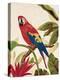 Tropical Red-Colleen Sarah-Stretched Canvas