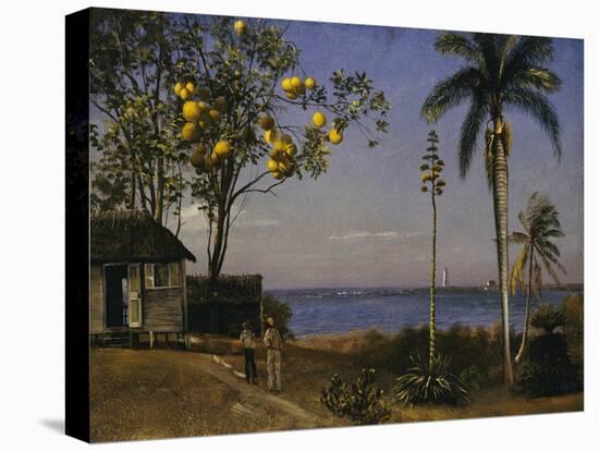 Tropical Scene-Albert Bierstadt-Premier Image Canvas