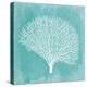 Tropical Sea Fan 1-Evangeline Taylor-Stretched Canvas