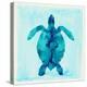 Tropical Sea Turtle-Evangeline Taylor-Stretched Canvas