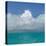 Tropical Seascape II-Kathy Mahan-Premier Image Canvas