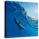 Tropical Seascape with Water Waved Surface and Dolphin Swimming Underwater-Willyam Bradberry-Stretched Canvas