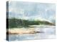 Tropical Shore II-Ethan Harper-Stretched Canvas