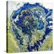 Tropical Storm II-Roberto Gonzalez-Stretched Canvas