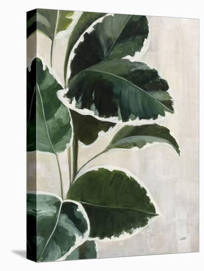 Tropical Study I-Julia Purinton-Stretched Canvas