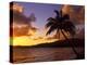 Tropical Sunrise on the Garden Isle, Kauai, Hawaii, USA-Jerry Ginsberg-Premier Image Canvas