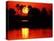 Tropical Sunset, Botswana-Charles Sleicher-Premier Image Canvas