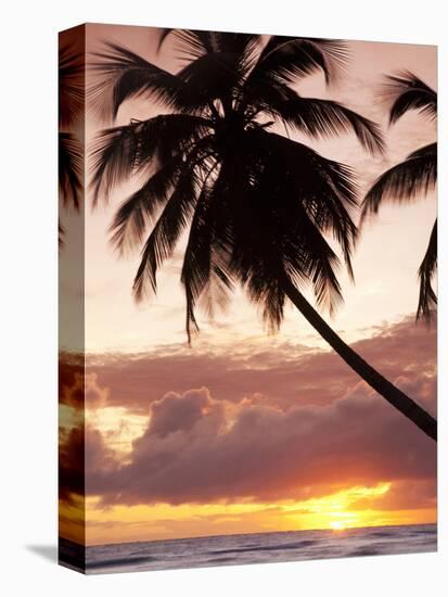 Tropical Sunset, Bridgetown, Barbados, West Indies, Caribbean, Central America-Angelo Cavalli-Premier Image Canvas