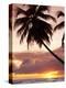 Tropical Sunset, Bridgetown, Barbados, West Indies, Caribbean, Central America-Angelo Cavalli-Premier Image Canvas