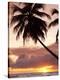 Tropical Sunset, Bridgetown, Barbados, West Indies, Caribbean, Central America-Angelo Cavalli-Premier Image Canvas