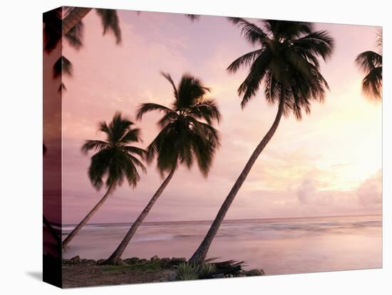 Tropical Sunset, Bridgetown, Barbados, West Indies, Caribbean, Central America-Angelo Cavalli-Premier Image Canvas