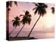 Tropical Sunset, Bridgetown, Barbados, West Indies, Caribbean, Central America-Angelo Cavalli-Premier Image Canvas