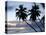 Tropical Sunset, Bridgetown, Barbados, West Indies, Caribbean, Central America-Angelo Cavalli-Premier Image Canvas
