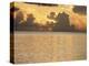 Tropical Sunset, Cayman Islands, West Indies, Central America-Ruth Tomlinson-Premier Image Canvas