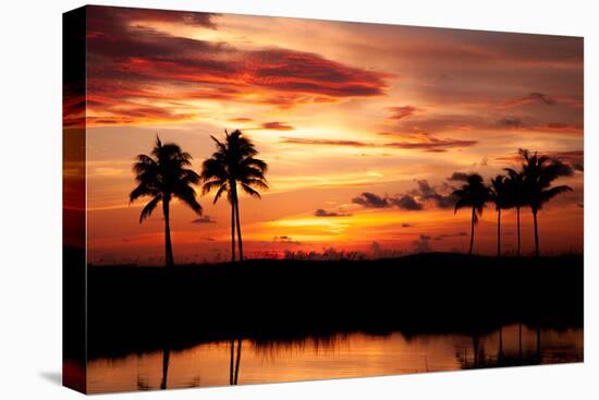 Tropical Sunset with Palm Trees-Paul Brady-Premier Image Canvas
