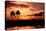 Tropical Sunset with Palm Trees-Paul Brady-Premier Image Canvas