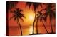 Tropical Sunset-null-Stretched Canvas