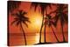 Tropical Sunset-null-Stretched Canvas