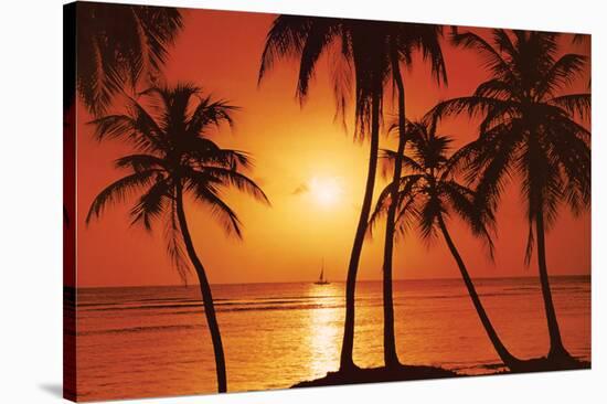 Tropical Sunset-null-Stretched Canvas