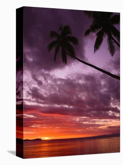 Tropical Sunset-Michele Westmorland-Premier Image Canvas