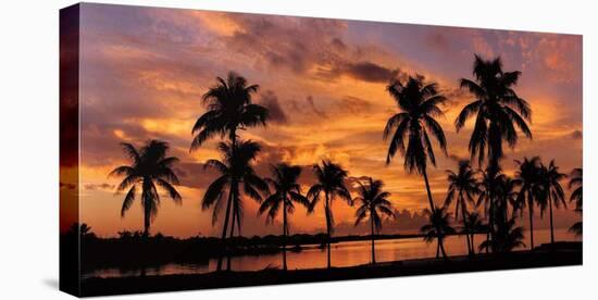 Tropical Sunsets I-Mike Jones-Stretched Canvas