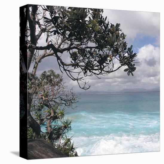 Tropical Surf-Mark Goodall-Stretched Canvas