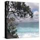 Tropical Surf-Mark Goodall-Stretched Canvas