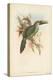 Tropical Toucans I-John Gould-Stretched Canvas