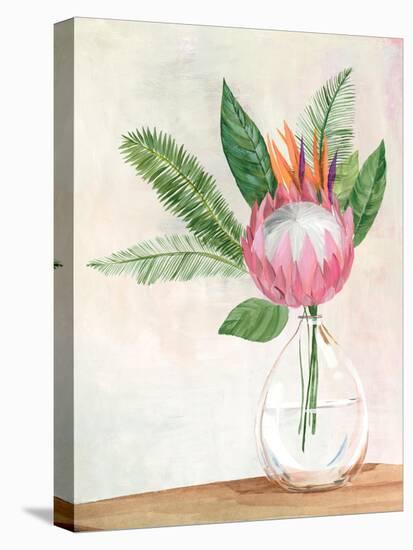 Tropical Vase II-Aria K-Stretched Canvas