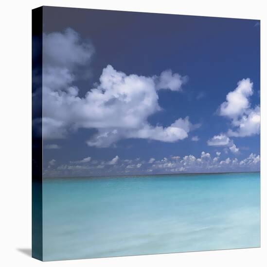 Tropical Waters III-Adam Brock-Stretched Canvas