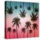 Tropical-Mark Ashkenazi-Premier Image Canvas