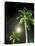 Tropics Palm Trees and Moon-Robin Hill-Premier Image Canvas