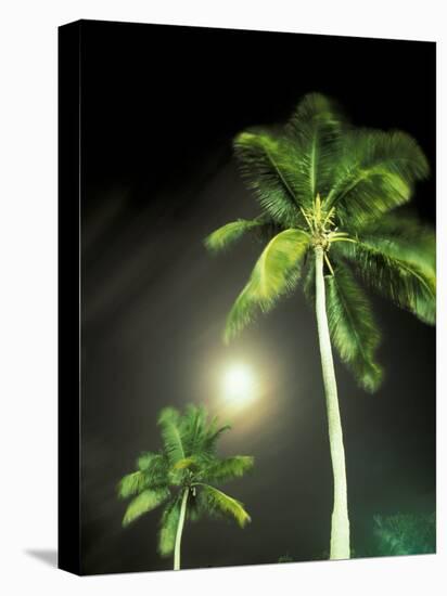 Tropics Palm Trees and Moon-Robin Hill-Premier Image Canvas